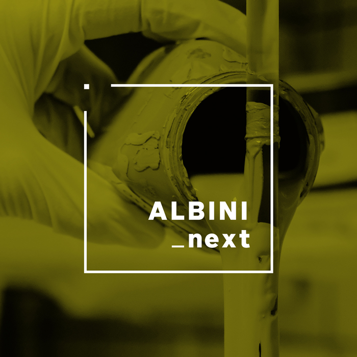 Agenzia-Pubblicitaria-Sviluppo-Logo-Albini-Next